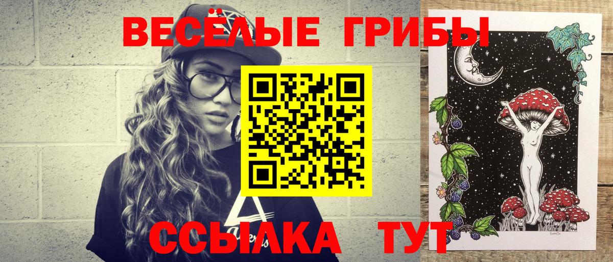 Псилоцибиновые грибы Psilocybe  Вход с VPN  Ипатово 