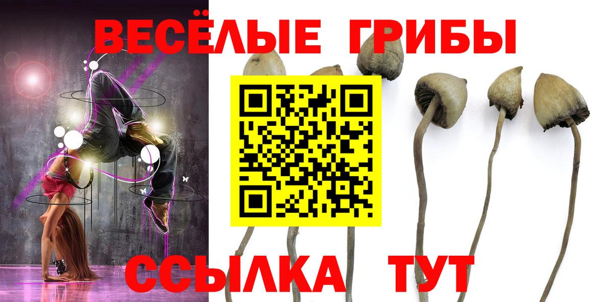 Галлюциногенные грибы мицелий Ипатово